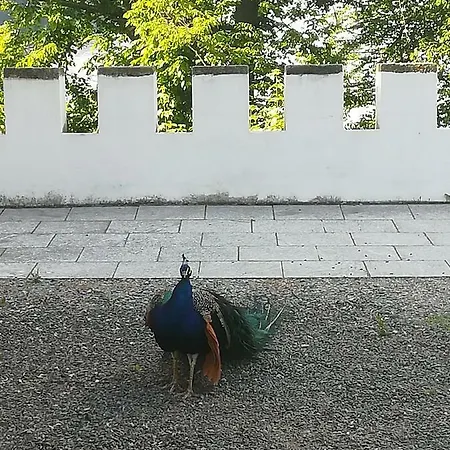 Stromovy Srub S Karavanem U Reky Vakantiehuis
